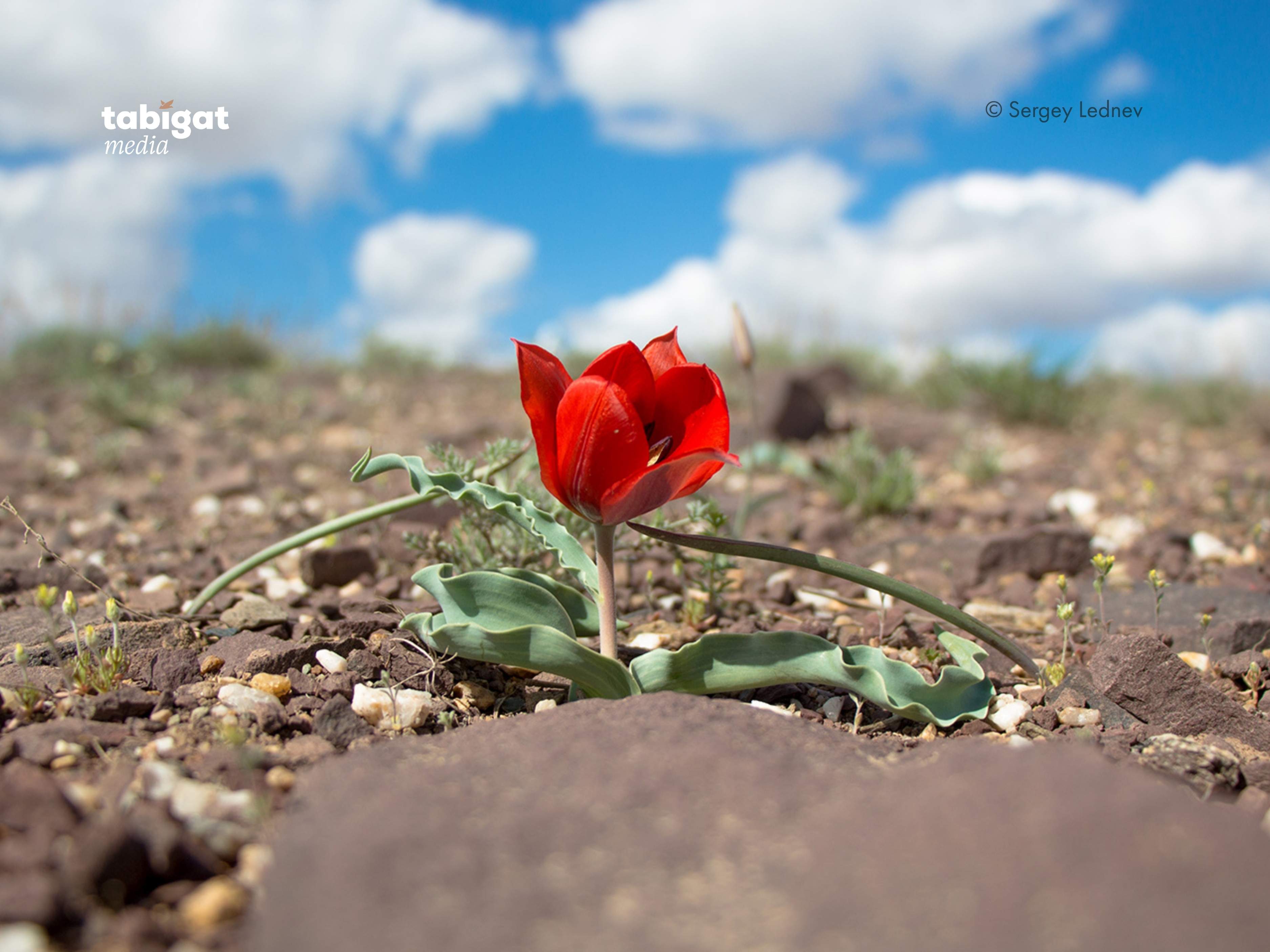 Гравитация порно